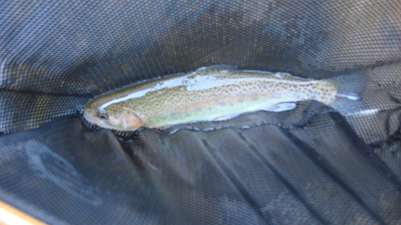 Last Rainbow.JPG